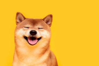 Gráfico de valorização do Shiba Inu com traders analisando no fundo