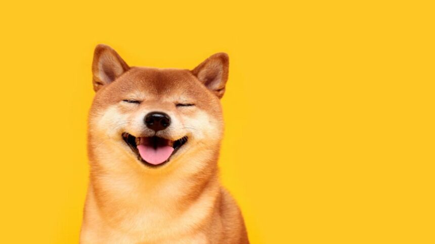 Gráfico de valorização do Shiba Inu com traders analisando no fundo