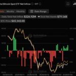 Gráfico de Bitcoin ETFs mostrando aumento de investimentos consecutivos