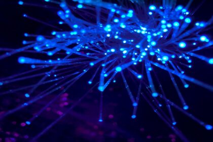 Lançamento da stablecoin USDCx da Miden com foco em privacidade.