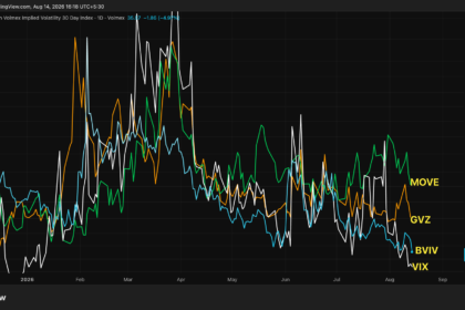 Gráfico de volatilidade do Bitcoin e outros mercados financeiros