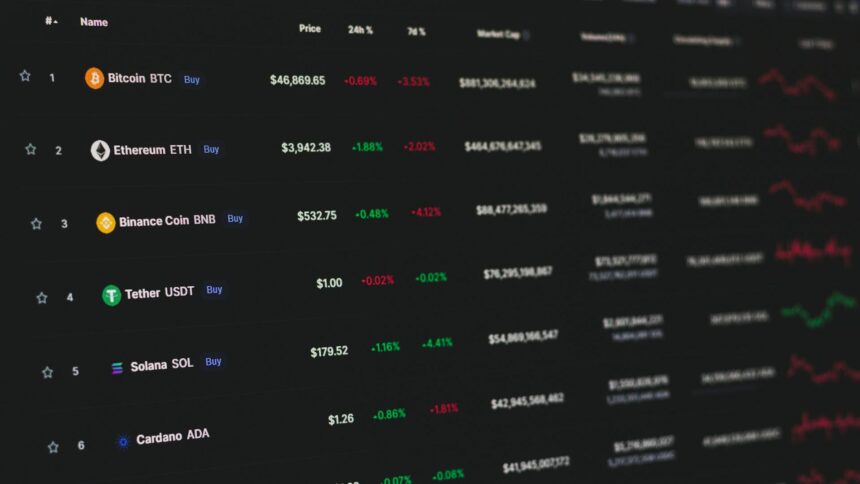 Investidores analisando dados de criptomoedas e fundamentos de tokens.