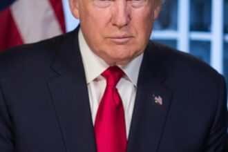 Representação gráfica de stablecoins e o dólar americano